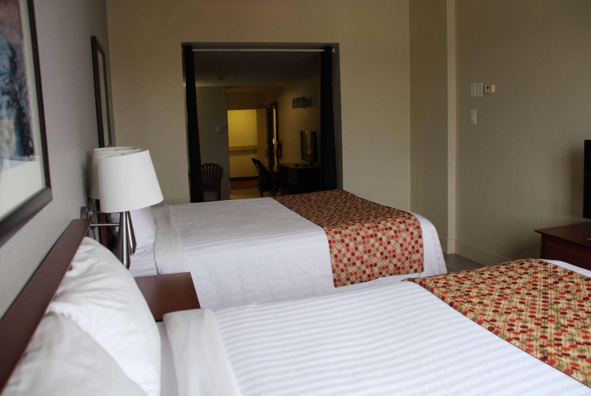 Hotel Super 8 By Wyndham Nb
